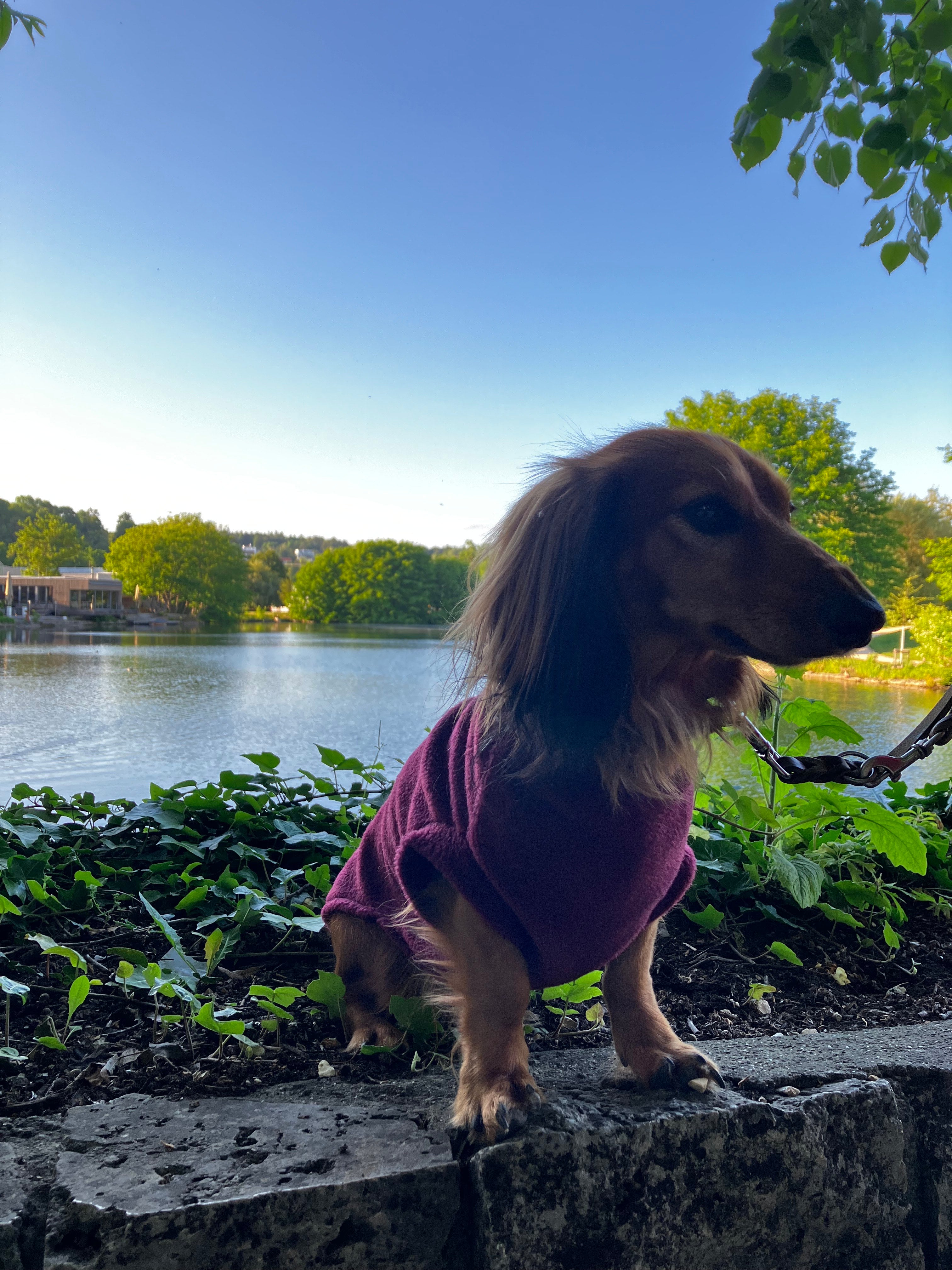 Fleecepullover Beere