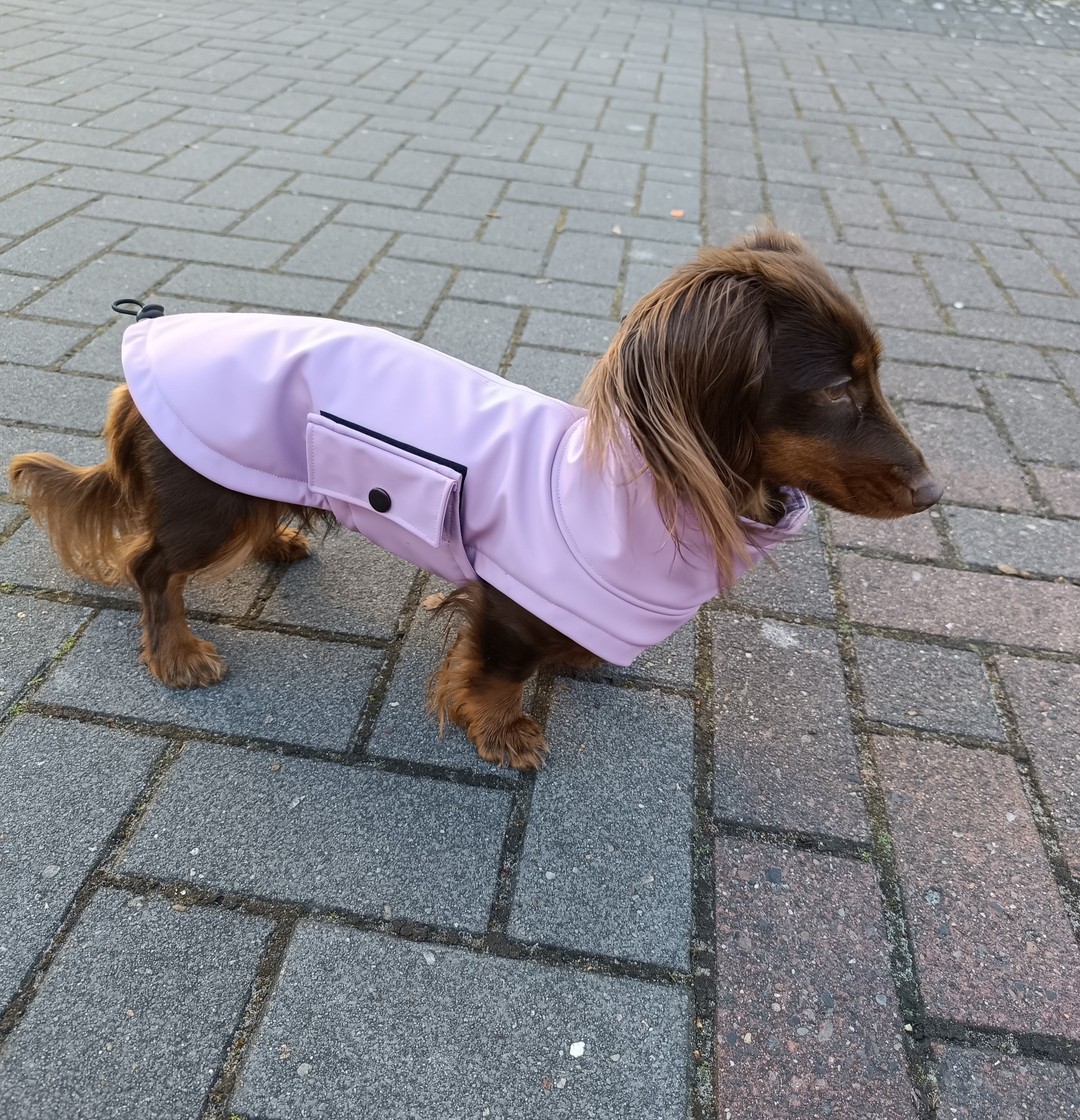 "Ostfriesen" Regenjacke Flieder