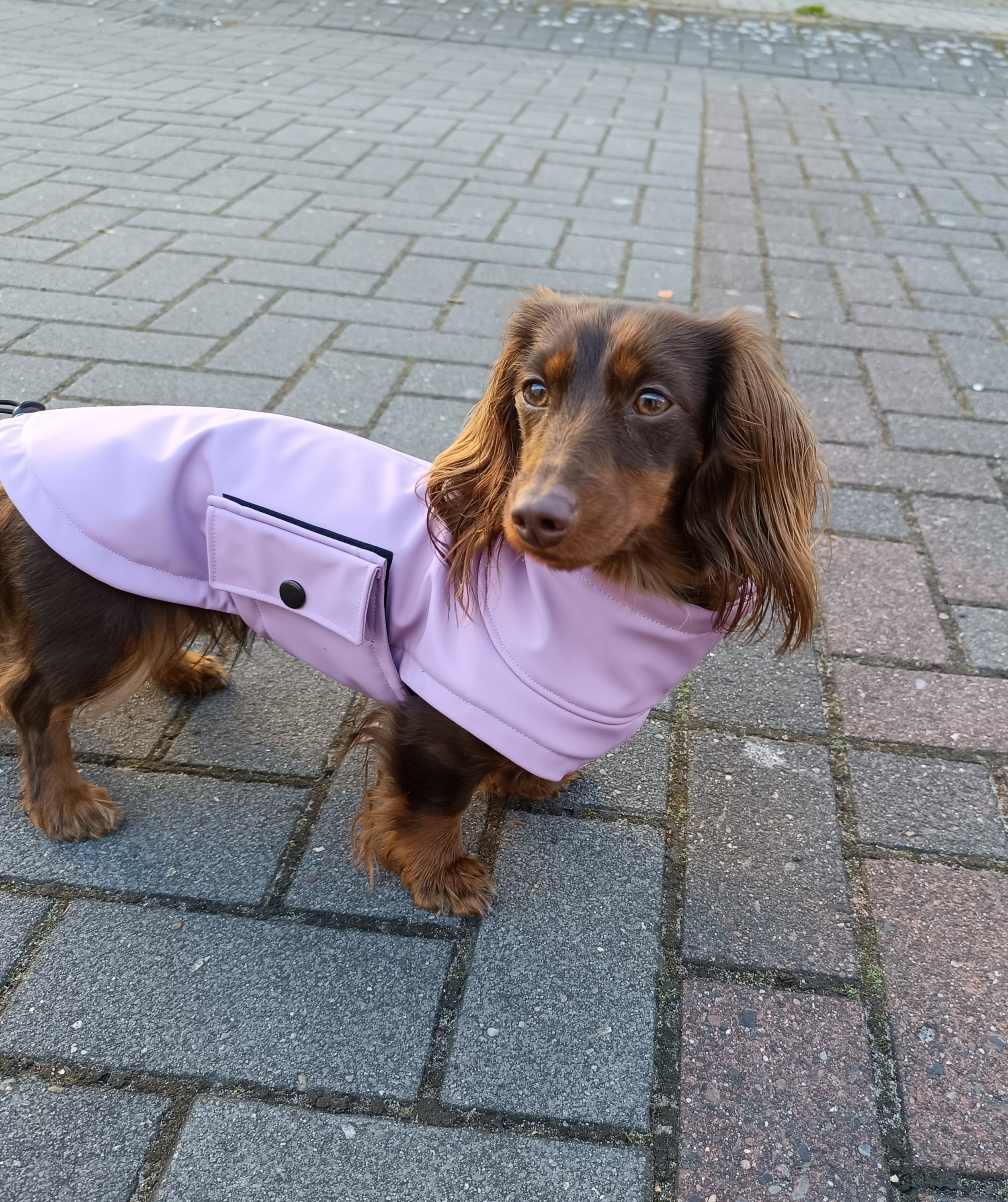"Ostfriesen" Regenjacke Flieder