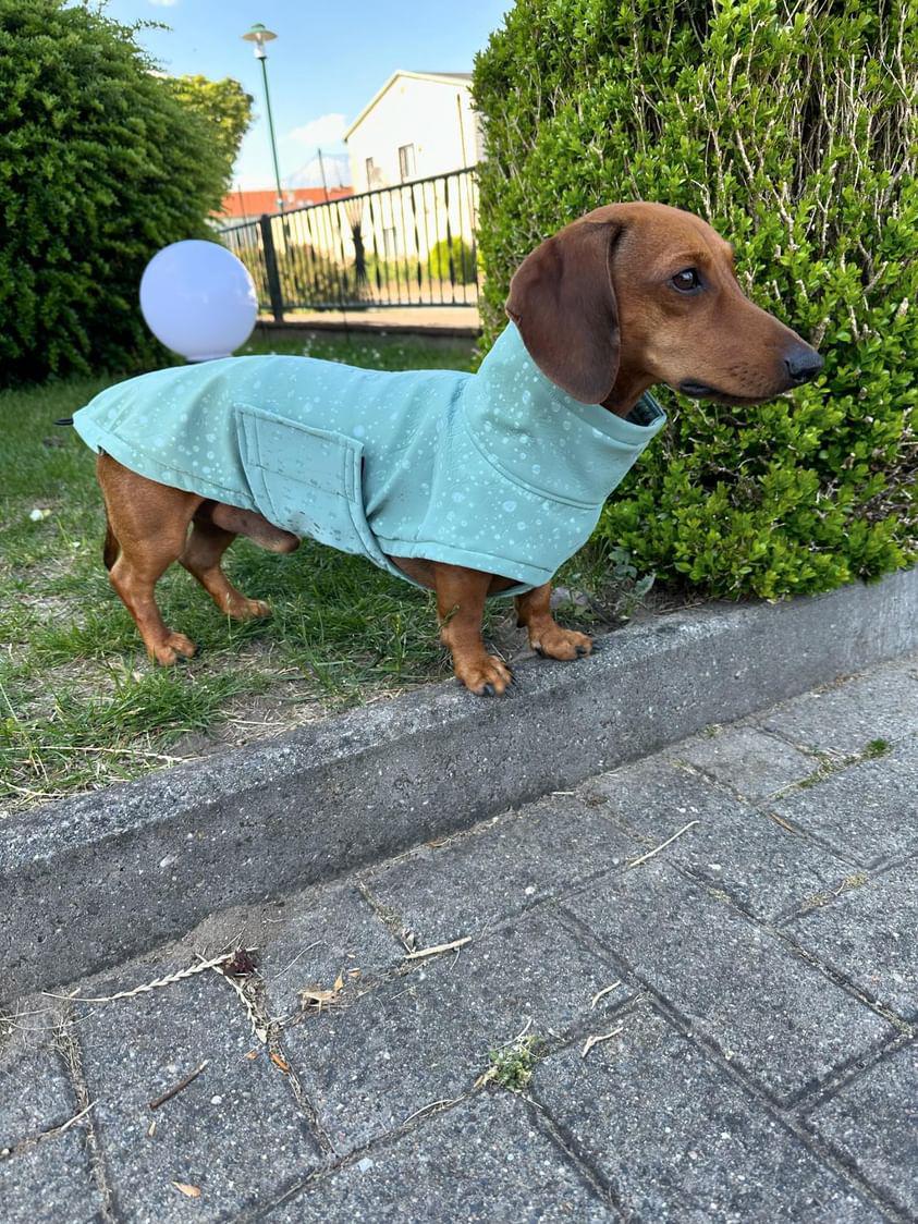 Softshelljacke Regentropfen Mint