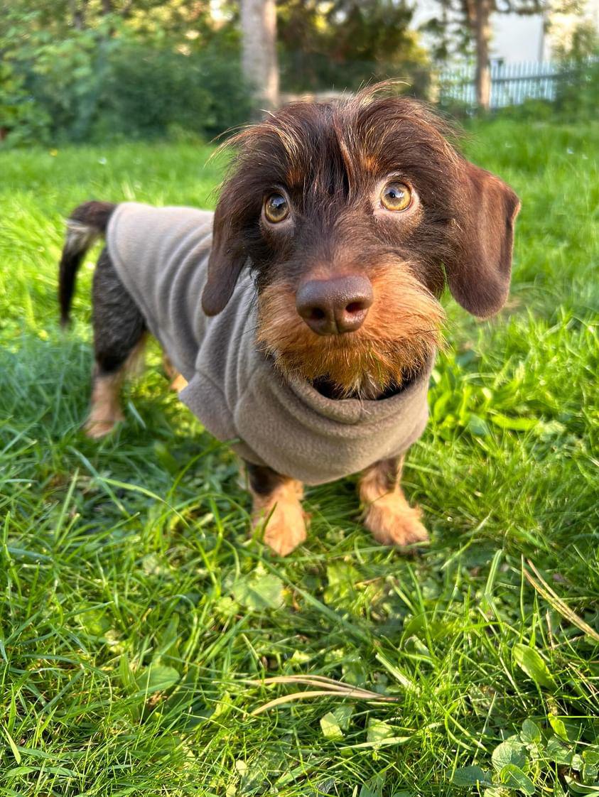 Fleecepullover Leo