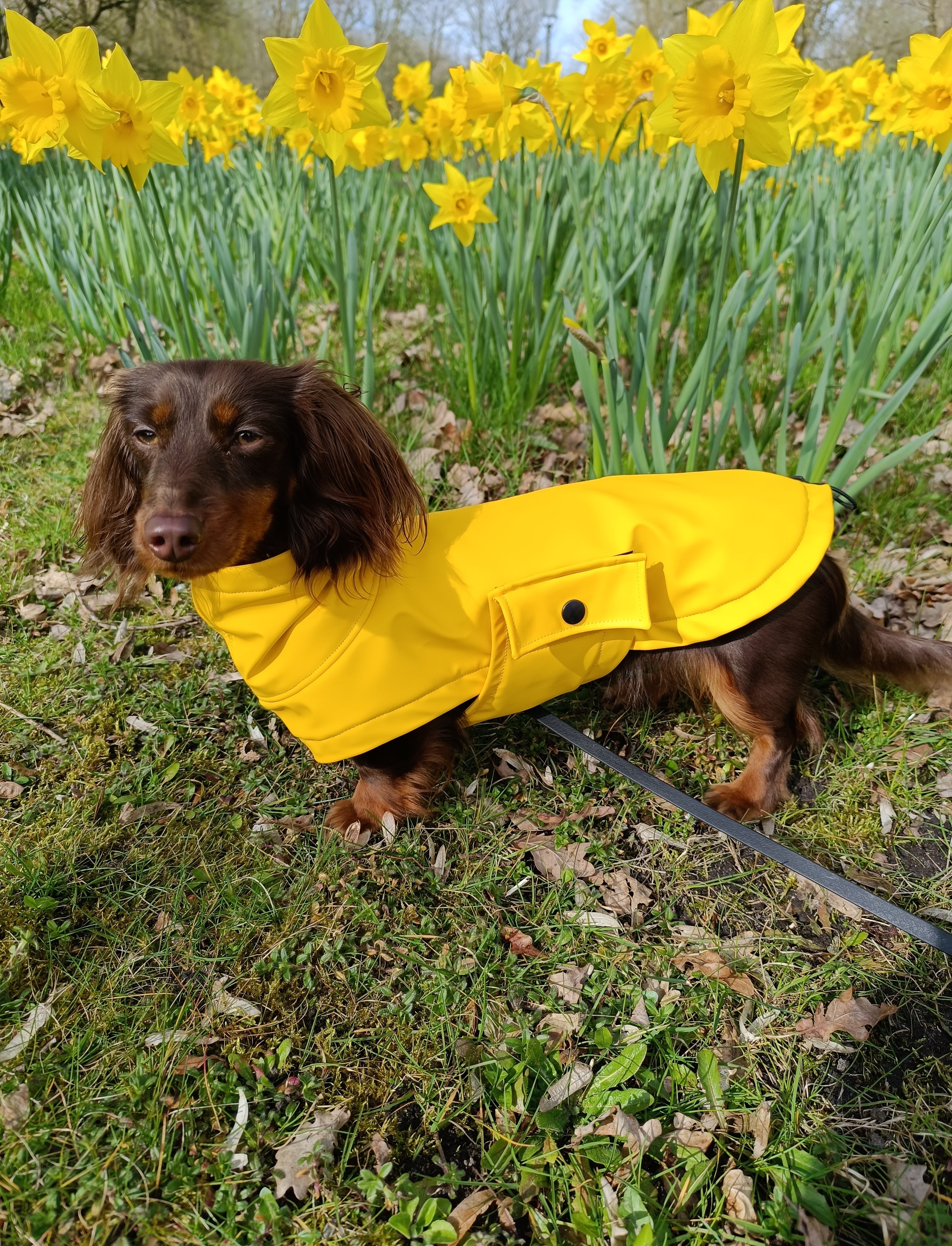 "Ostfriesen" Regenjacken