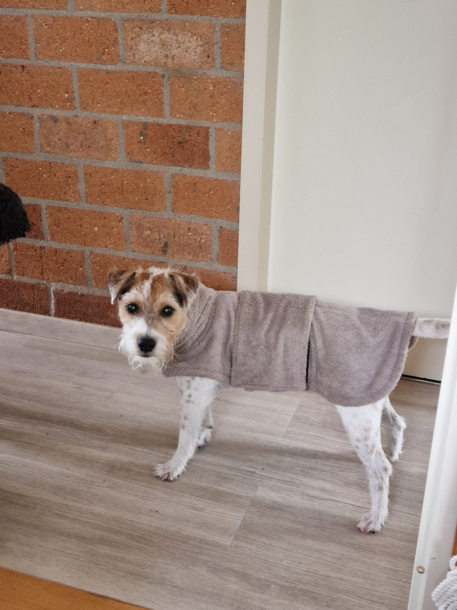 Bademantel Taupe