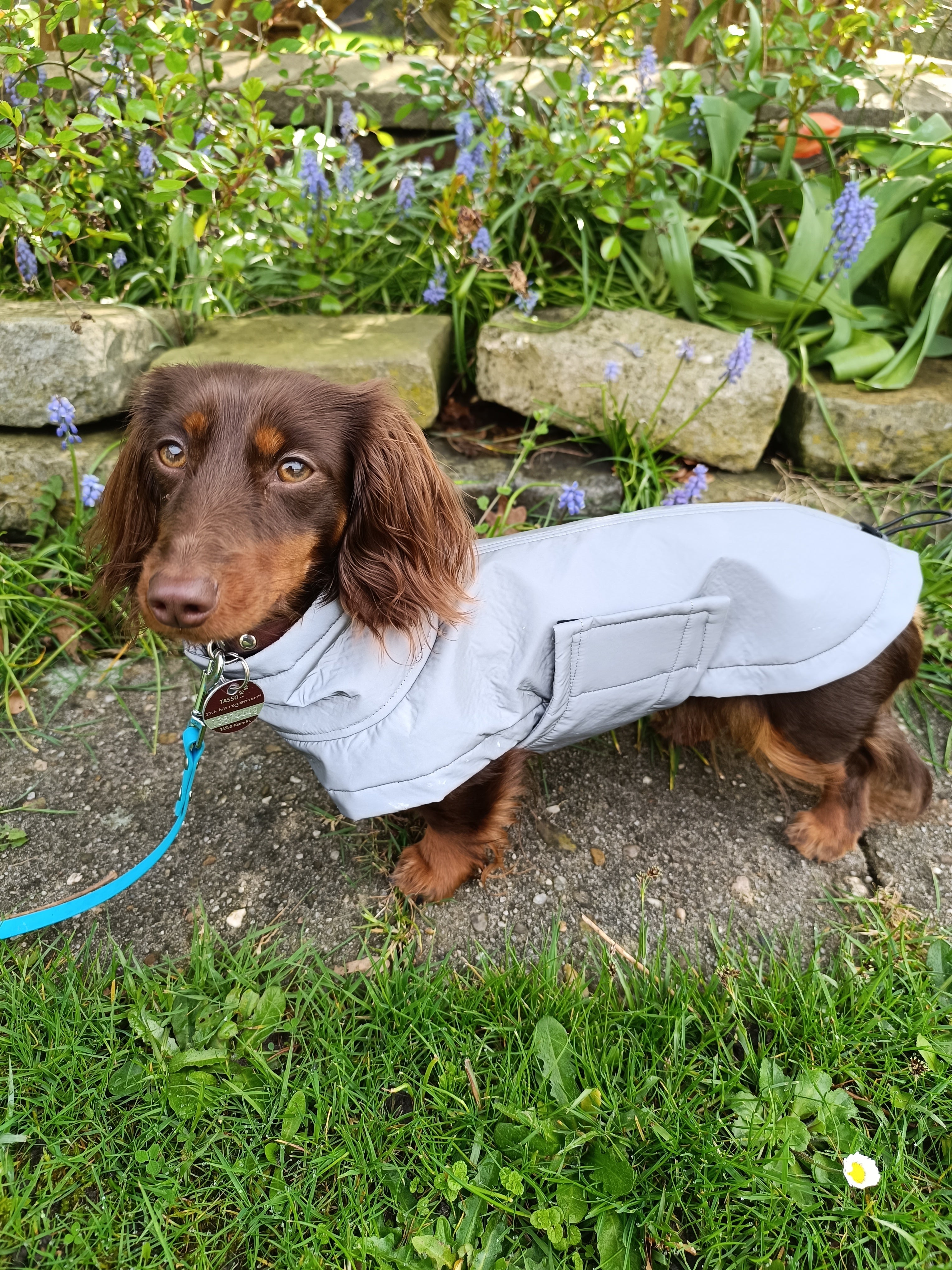 Reflektierende Softshelljacke