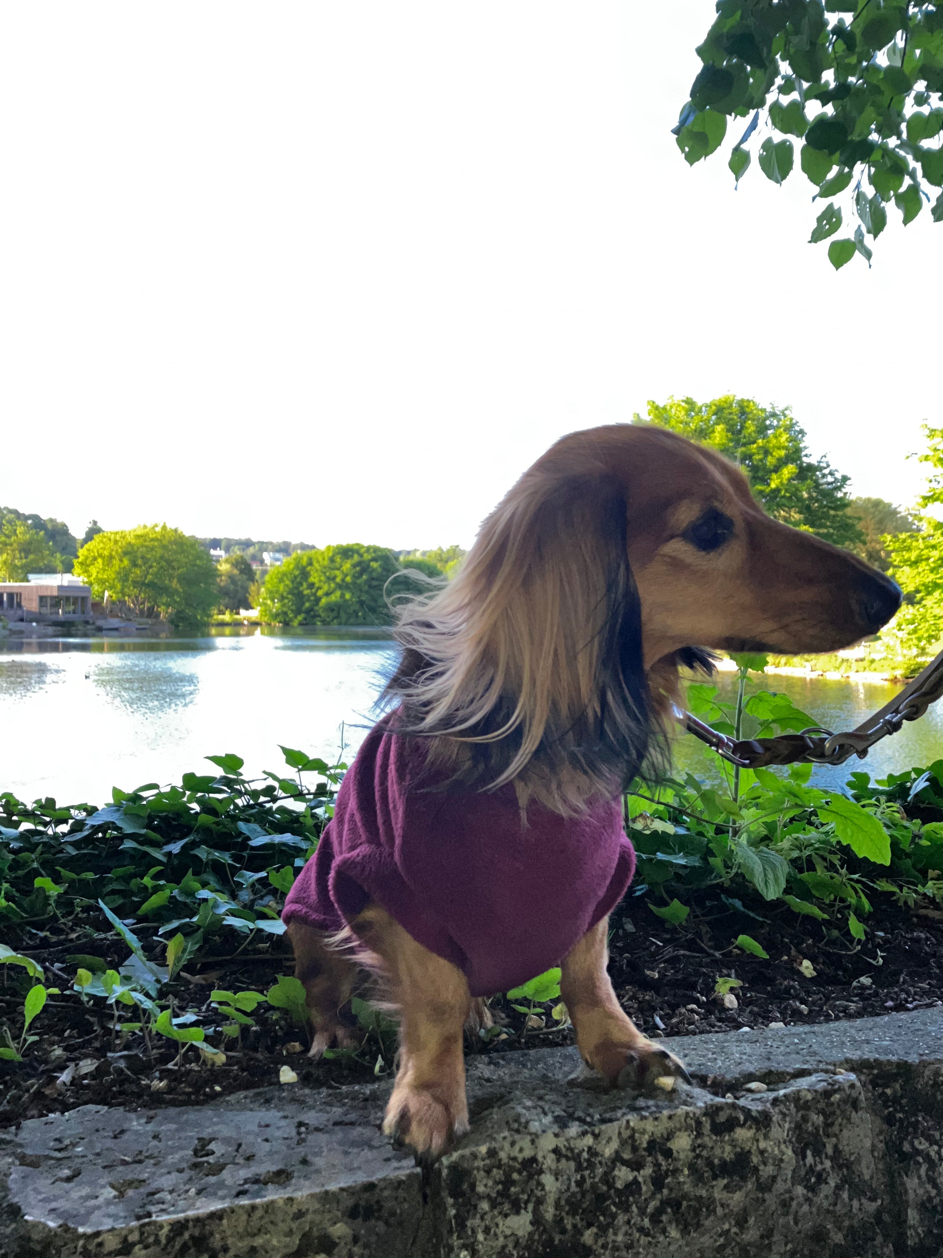 Fleecepullover Beere