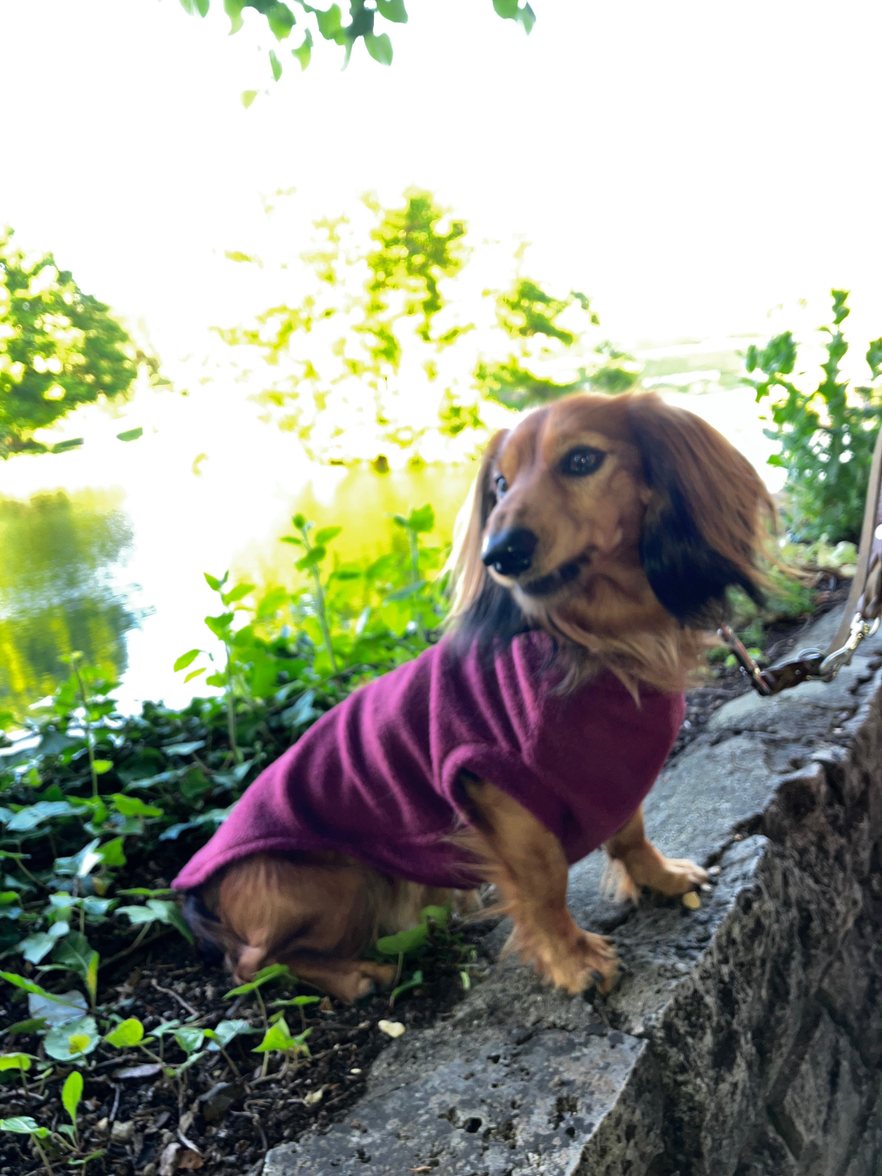 Fleecepullover Beere