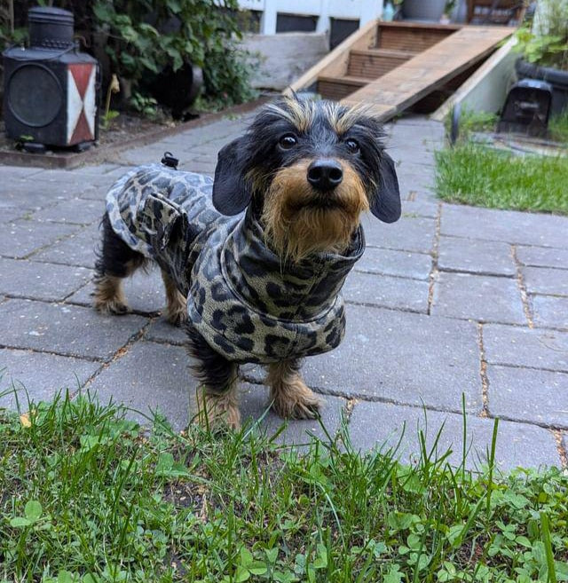 "Ostfriesen" Regenjacke Leo